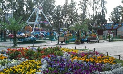 Ельцовский парк в Новосибирске: что там есть, фото, видео - KP.RU
