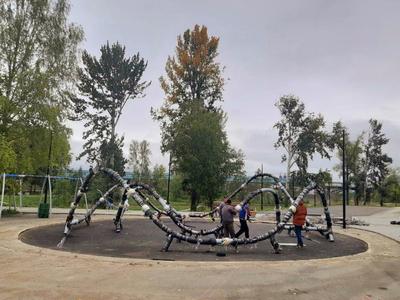 Заельцовский парк, Новосибирск