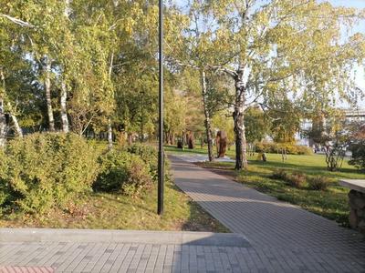 Мэрия Новосибирска выделила четверть города под парки и скверы