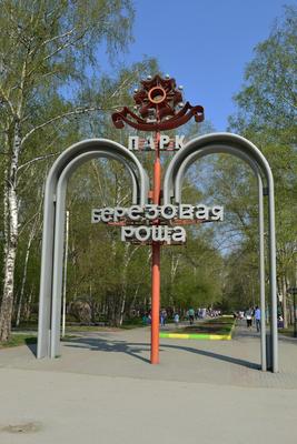 Парк «Арена» у нового ЛДС в Новосибирске требует ремонта | Sobaka.ru