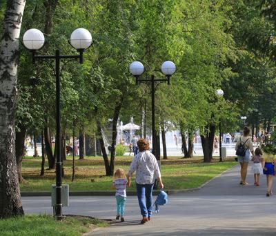 Новый скейт-парк открылся в Заельцовском парке Новосибирска