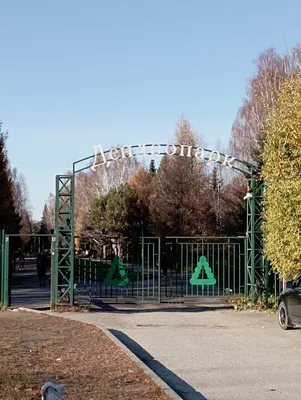 Что изменилось в Заельцовском парке Новосибирска после реконструкции —  фоторепортаж | НДН.Инфо