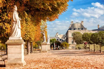 Зеленые оазисы Парижа: ТОП-15 прекрасных парков и садов, пленяющих сердца в  городе любви