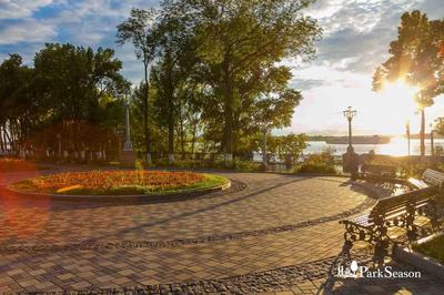 Стало известно, кто благоустроит парк \"Молодежный\" в Самаре за 157 млн  рублей - Волга Ньюс