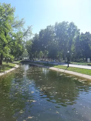 Загородный парк (ЦПКиО им. М. Горького), Самара - «Любимый всеми в Самаре  парк 💘 Ностальгия 🌳» | отзывы