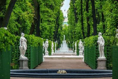 Красивейшие сады и парки Санкт-Петербурга