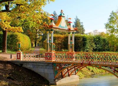 Сады и парки Санкт-Петербурга: атмосферные пространства для новых историй |  Ассоциация Туроператоров