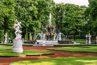 Красивейшие сады и парки Санкт-Петербурга