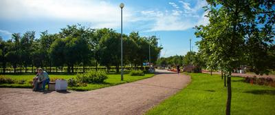 9 самых интересных парков Петербурга в черте города