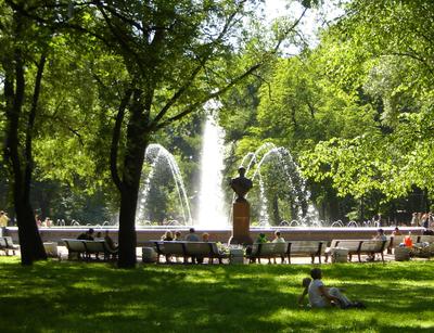 Сады и парки Санкт-Петербурга: атмосферные пространства для новых историй |  Ассоциация Туроператоров