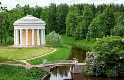 Сады и парки Санкт-Петербурга: топ-10 мест для отдыха | Туристер.Ру | Дзен
