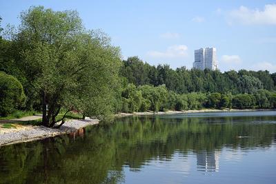 Благоустройство парков Москвы в этом году