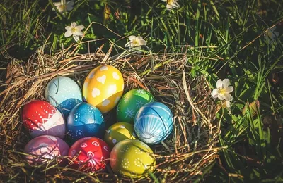 Яйца на деревьях в Германии / Что это значит? / немецкие традиции / Пасха в  Германии - YouTube