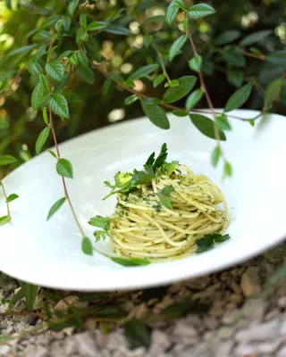 Спагетти карбонара с яйцом и беконом, пошаговый рецепт с фото на сайте  Гастроном