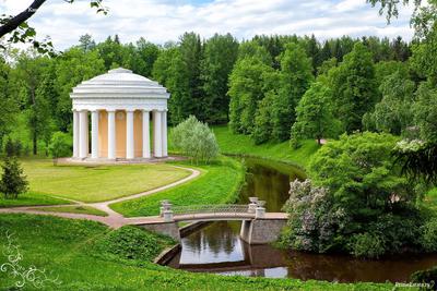 Павловск и Павловский дворец (Санкт-Петербург)