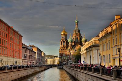 Природа Санкт Петербурга - 74 фото