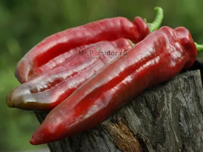 Сладкий перец Палермо - Сортовые семена Mr.Pomidor