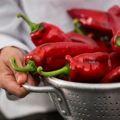 Купить семена Перец острый Hot pepper Palermo в Москве: доставка семян по  России и СНГ - интернет-магазин «Сады Семирамиды»