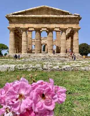 Paestum temple hi-res stock photography and images - Alamy