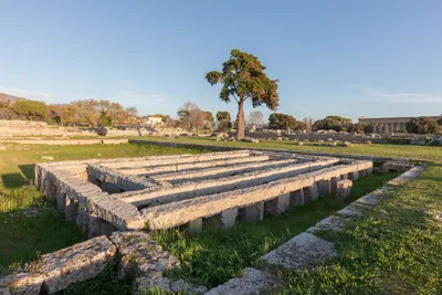 Italy: The Temples of Paestum - Greek history in Italy