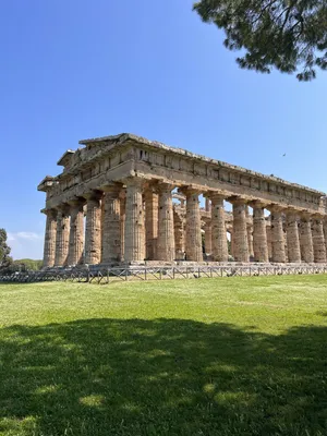 Temple Hera Paestum: Over 1,460 Royalty-Free Licensable Stock Photos |  Shutterstock