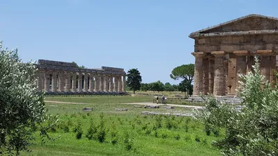 Visiting the Ruins of the Paestum Temples - Travel Addicts