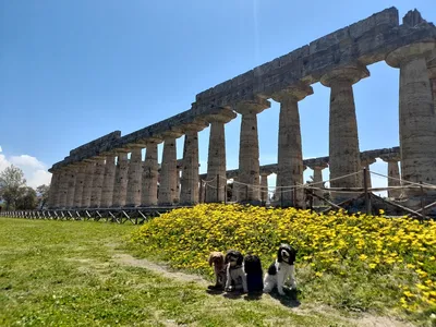 PAESTUM | Ancient Greek City in ITALY | Travel Vlog - YouTube