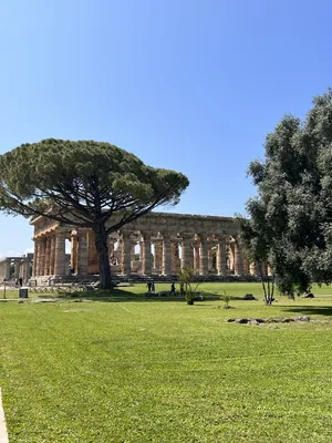 File:Paestum, Italia, 2023-03-26, DD 60.jpg - Wikimedia Commons