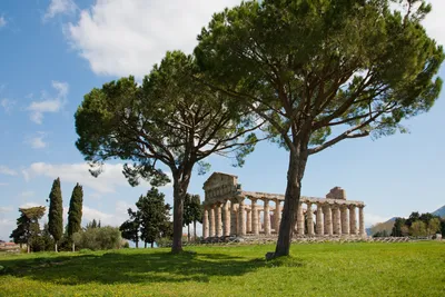 Heraion and Temple of Poseidon, Paestum, Campania, Italy Stock Photo - Alamy