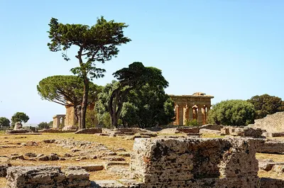 Paestum archaeological site, Campania, Italy (Photos of July 2015) [OC] :  r/ancientrome
