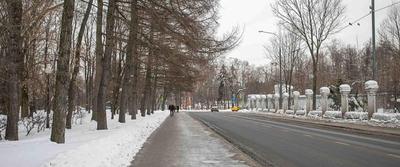 Петровский парк в Кронштадте - история с описанием и фото
