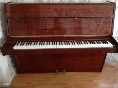 Пианино Riga - Tallinn - Музыкальные инструменты, Фортепьяно, клавишные  купить и продать – okidoki