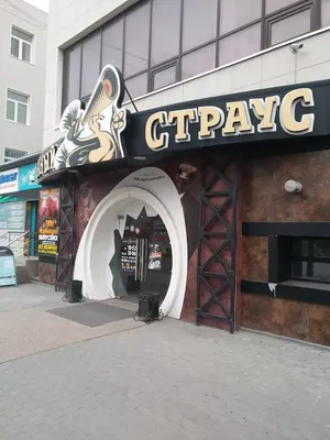 Пьяный страус в Челябинске, ул. Сони Кривой, 83 - фото, отзывы 2024,  рейтинг, телефон и адрес