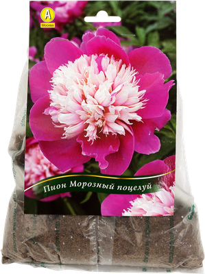 Цветок искусственный Пион, 43 см, розовый, Y4-6952 в Москве: цены, фото,  отзывы - купить в интернет-магазине Порядок.ру