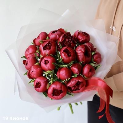Пион травянистый «Морозный поцелуй» по цене 255 ₽/шт. купить в Москве в  интернет-магазине Леруа Мерлен