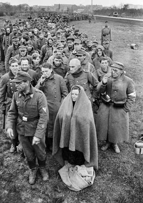 Настоящая история «безвинно замученных» в Сталинграде немцев - 23 ноября  2017 - v1.ru