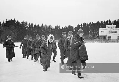 Группа немецких солдат, захваченных в плен во время битвы под Москвой —  военное фото