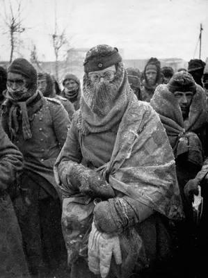 Почему наши не брали немцев в плен под Москвой зимой 1941-42 | Наша история  это Гордость | Дзен