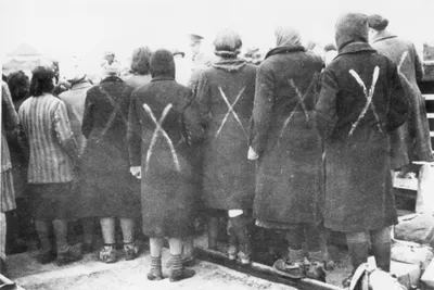 Немецкие пленные под Сталинградом делят хлеб — военное фото