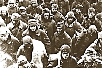 Настоящая история «безвинно замученных» в Сталинграде немцев - 23 ноября  2017 - v1.ru
