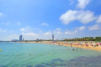 Bogatell Beach in Barcelona - Enjoy Beachside Eats Alongside Locals on  Barcelona's Sandy Shores – Go Guides
