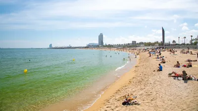 Barcelona Beaches: Where Sun, Sand, and Siestas Meet - Barcelona City Walks