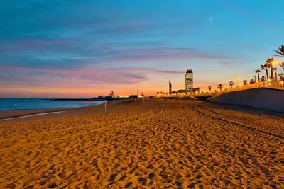 Bogatell Beach in Barcelona - Enjoy Beachside Eats Alongside Locals on  Barcelona's Sandy Shores – Go Guides