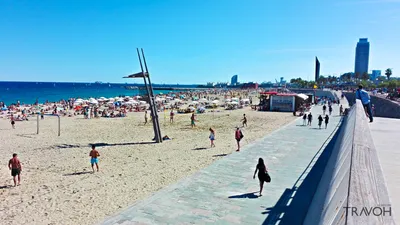 Nova Icària and Bogatell, Barcelona, Spain – Beach Review | Condé Nast  Traveler