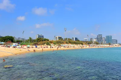 Bogatell Beach in Barcelona - Enjoy Beachside Eats Alongside Locals on  Barcelona's Sandy Shores – Go Guides