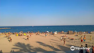 Барселона - Пляж Богатель | Турнавигатор