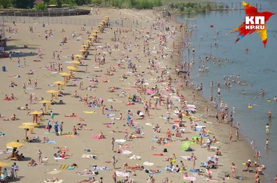 Купаться нельзя запретить: в Новосибирске открыли первые пляжи - KP.RU