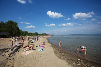 Когда в Новосибирске откроют пляжи - 30 мая 2023 - НГС.ру