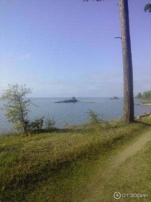 Отзыв о Летний кемпинг \"Парк у моря\" (Россия, Новосибирск) | Для любителей  шумного отдыха на природе