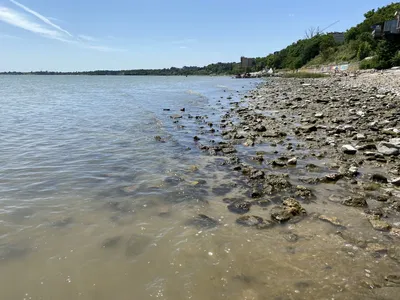 У моря Обского, парк культуры и отдыха в Новосибирске, ул. Софийская, 15 -  фото, отзывы 2024, рейтинг, телефон и адрес